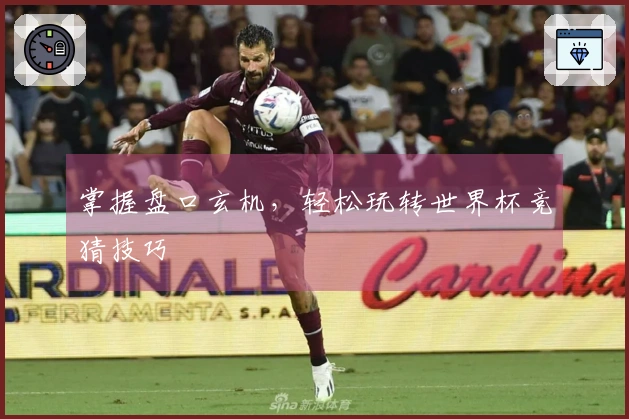 掌握盘口玄机，轻松玩转世界杯竞猜技巧