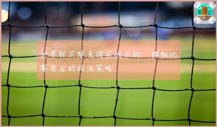 世界杯买球竞猜实战分析：揭秘比赛背后的投注策略