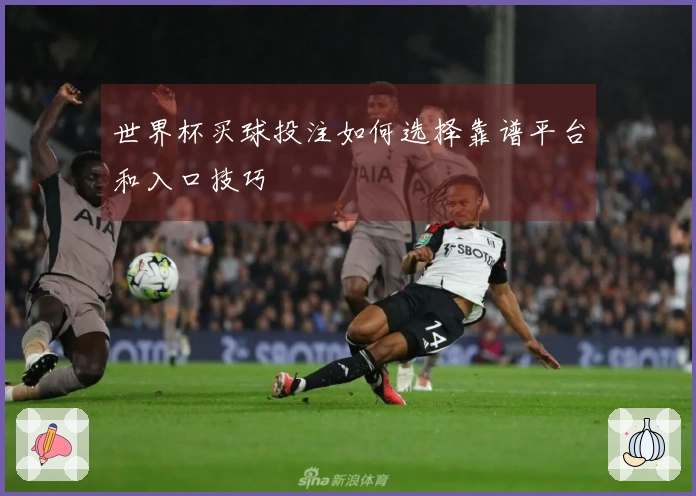世界杯买球投注如何选择靠谱平台和入口技巧