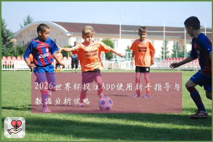 2026世界杯投注App使用新手指导与数据分析攻略